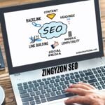 zingyzon seo